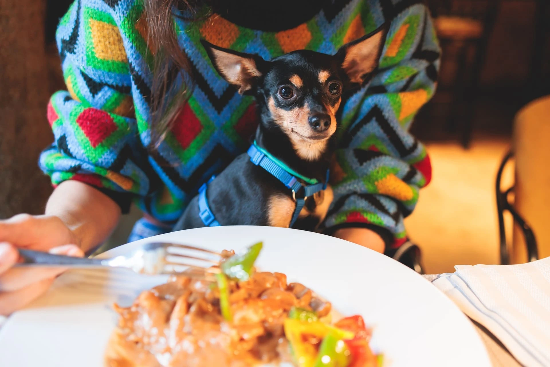 AdobeStock_104689913
