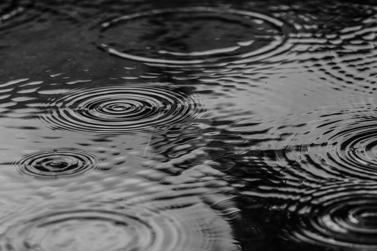 雨の日も楽しめる施設